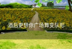 酒后更想你广场舞变队形