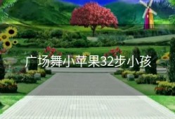 广场舞小苹果32步小孩