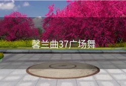 馨兰曲37广场舞