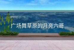 广场舞草原的月亮六哥