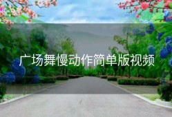 广场舞慢动作简单版视频