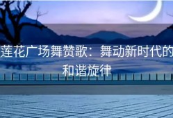 莲花广场舞赞歌：舞动新时代的和谐旋律