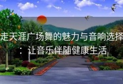 走天涯广场舞的魅力与音响选择：让音乐伴随健康生活