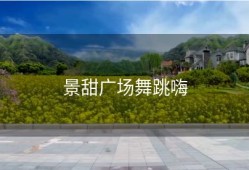 景甜广场舞跳嗨