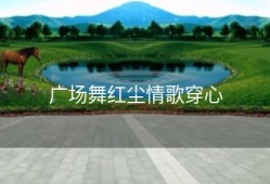 广场舞红尘情歌穿心