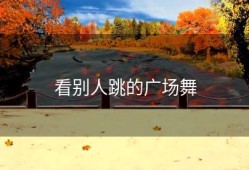 看别人跳的广场舞