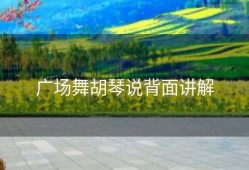 广场舞胡琴说背面讲解