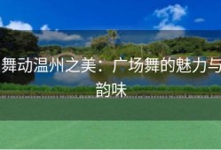 舞动温州之美：广场舞的魅力与韵味