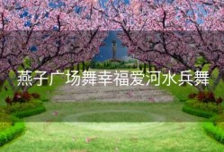 燕子广场舞幸福爱河水兵舞