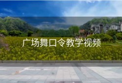 广场舞口令教学视频
