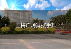 王梅广场舞摆手舞