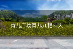 青儿广场舞九九艳阳天